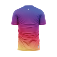 Camisetas Deportivas Unisex Personalizadas OEM ODM de Spandex/Poliéster, Conjuntos de Camisetas sin Costuras con Elasticidad en Cuatro Direcciones, Transpirables, con Impresión por Sublimación