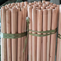 Balai portable en bois d'eucalyptus naturel, poignées durables, poils doux et écologiques, prix avantageux de Chine