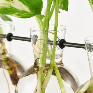 Estación de propagación Terrario para plantas con soporte de madera para plantas Marco de decoración de madera Bombilla Florero de vidrio Planta - Product Image 4