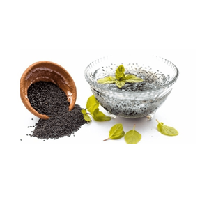 Semilla de albahaca 2025 superventas/alta calidad y precio competitivo de vietnamita lista para ser enviada al mejor precio en el mercado - Product Image 2