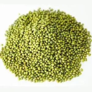 Frijoles Vigna Verdes Frescos y Secos, Frijoles Mung, Granos Enteros para Procesamiento de Alimentos y Cocina - Product Image 3