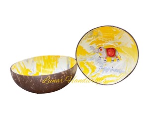 ชามมะพร้าวหลากสีสุดอินเทรนด์ทรงมนพร้อมช้อนผลิตจากเวียดนาม - Product Image 4
