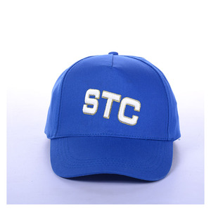 Gorra de Béisbol Clásica Personalizable, Moda Otoño Invierno, Algodón Unisex, Deporte, Bordado 3D, Logotipo de Leopardo, Tela Común - Product Image 1