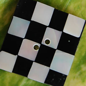 Botón de Concha Natural de SEASHELL JEWELRY, Artesanía Natural, Botón de Concha Pulida con Motivo de Concha Marina, Mosaico Crudo - Product Image 3