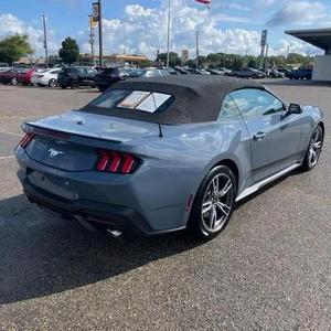 2024ราคาไม่แพงสำหรับ-D Mus-Tang ecob-Oost pre mium - Product Image 3