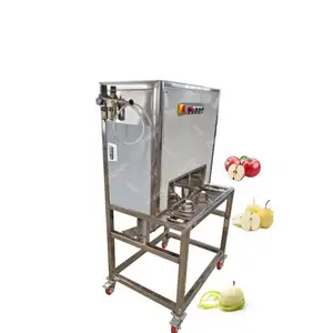 Brand New Peel Slice And Slicing Persimmon Apple Peeling Machine With High Quality