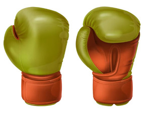 Guantes de boxeo de cuero PU para hombre de 8oz y 14oz personalizables de alta calidad, guantes de entrenamiento profesional de diseño único para artes marciales - Product Image 2