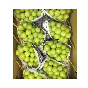 องุ่นเขียวไร้เมล็ดออร์แกนิกคุณภาพสูงจากเท็กซัส น้ำตาล 19% ลดราคาพิเศษ - Product Image 3