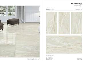 Baldosas de porcelana de 600x1200mm, baldosas de porcelana brillante/mate para suelo, baldosas blancas para pared Interior - Product Image 3