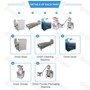 Línea Automática para Procesamiento de Cebolla: Rebanadora, Peladora, Secadora y Moledora de Cebolla, Ajo, Chile y Jengibre, Material SUS304, Certificación CE ISO - Product Image 4