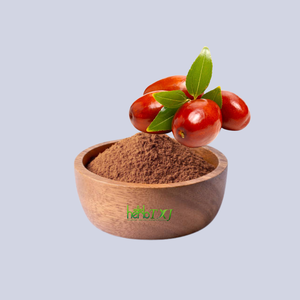 Bubuk ekstrak buah Jujube Cina ekstrak tanggal merah zizifhus Jujube merah - Product Image 1