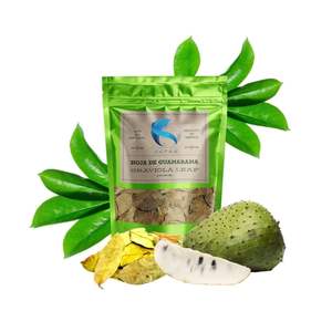 Super Deal FD Soursop Tea Healthy Organic Tea 100% Té de hierbas orgánicas con productos saludables de Vietnam sin OGM - Product Image 1