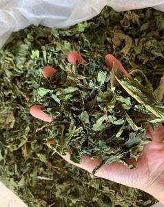 HOJAS DE PAPAYA DE CALIDAD SUPERIOR DELICIOSO GRADO ESTÁNDAR 1 DE HOJAS FRESCAS 2024 ARTÍCULOS MUY RECOMENDABLES SECOS - Product Image 3