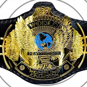 เข็มขัดแชมป์ที่กำหนดเองรางวัลเหรียญและรางวัลสัญลักษณ์สูงสุดของชัยชนะและเข็มขัดแชมป์ - Product Image 1