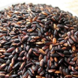 Arroz negro de alta calidad, el mejor proveedor, venta al por mayor, para vacaciones, 2022 - Product Image 6