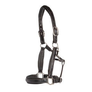 Excelente calidad de cuero de vaca argentino tradicional cosido a mano y bordado Polo cuero caballo Halter accesorio de latón macizo - Product Image 4
