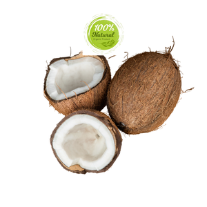 มะพร้าวแห้งช่วยเพิ่มรสชาติในผลไม้แช่แข็ง-ผลิตภัณฑ์ทางการเกษตรระดับพรีเมี่ยม - Product Image 6