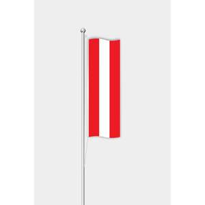 Custom Digital-Printed Satin Austria <b>Flag</b> with Aluminum <b>Pole</b> & Pennant Design <b>for</b> Display - Product Image 1
