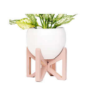 Support de plante en bois rond robuste support de chariot accessoire ménager détachable support de pot de plante en bois meilleure conception - Product Image 6