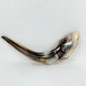 Cuerno de Shofar de Carnero Natural Pulido - Decoración Religiosa Ecológica para el Hogar de Alta Calidad - Product Image 6