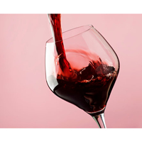 Made in Italy Vins rouges Dégustation Millésimes 2019 2021 Idéal pour les cadeaux Coffret pour 2 bouteilles 75 Cl de la région des Marches