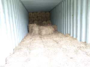 Paja de trigo y arroz de alta calidad para piensos, fardos de paja de trigo de calidad de exportación de Vietnam - Product Image 2