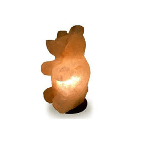 Lampes au sel fabriquées en forme de rose de l'Himalaya OEM pour la décoration intérieure et la purification de l'air, vente en gros de lampes au sel sculptées à la main sur mesure - Product Image 1