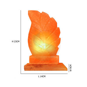 Sel rose de l'Himalaya Forme de feuille Meilleur prix Sel en forme de feuille de l'Himalaya Sel en forme de feuille de haute qualité - Product Image 5