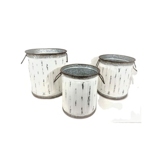 Vintage Galvanized Iron Metal Planter for Home Garden Decoration Elegant Metal Design for Outdoor Living Space - Product Image 1