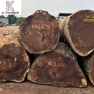 Tronchi di legno naturale materie prime di legno legno di quercia africana Saplele Sawlog/tronchi rotondi all'ingrosso costruzione di pavimenti in Angola