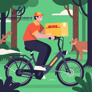 Grandi dimensioni alla rinfusa <span class=keywords><strong>LCL</strong></span> + spedizione <span class=keywords><strong>Express</strong></span> cina to UK UAE Arabia saudita Thailand Malaysia Bangladesh DHL UPS Air Freight <span class=keywords><strong>Express</strong></span> - Product Image 6