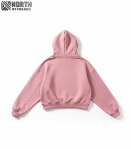 Offre Spéciale sweat à capuche personnalisé femmes haute qualité sweats à capuche pour femmes à la mode 450 gsm sweat à capuche - Product Image 2