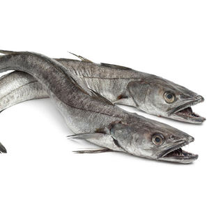 Distribución al por mayor de bacalao fresco entero congelado a granel - Product Image 5