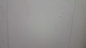 WAXLING Bling Wax Extreme, Spray Limpiador de Neumáticos Desechable para Coche y Hogar, Elimina de Forma Segura el Polvo de Frenos y la Suciedad - Product Image 6