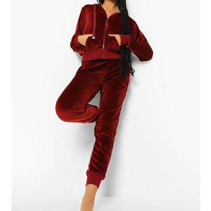 Custom Logo 100% Cotton <b>Velvet</b> Hooded SweatSuit 2-Piece Jogger Set Casual Couple Women Front Placement - Product Image 3
