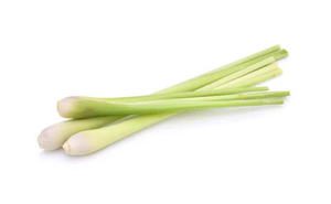 CITRONNELLE CONGELÉE DE QUALITÉ SUPÉRIEURE EN GROS APPROVISIONNEMENT EN VRAC TOP VENTES QUALITÉ NATURELLE DE QUALITÉ D'EXPORTATION PRÊT À EXPÉDIER - Product Image 2