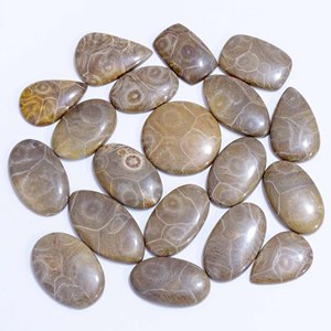 Cabochon de corail fossile naturel de super haute qualité pierre précieuse de quartz de forme mixte pierres précieuses en vrac pour la fabrication de bijoux - Product Image 4