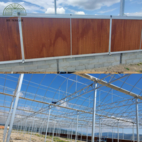 Serre en film multi-travées sur mesure 86,4x76m pour système de culture hydroponique de tomates