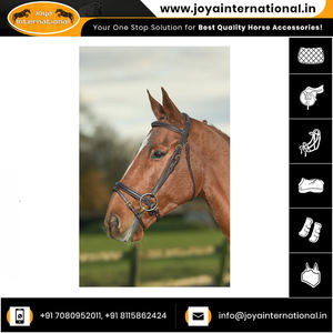 Brillos acolchados de lujo Glaze & Gordon, última colección, mejor precio - Product Image 5