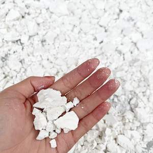 Échantillon gratuit Poudre de corossol biologique de haute qualité Annona Muricata poudre de Graviola biologique en vrac - Product Image 4