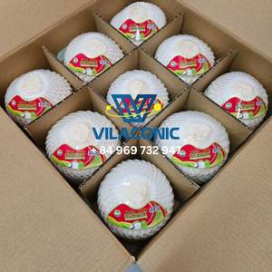 COCO JOVEN FRESCO PRECIO BARATO AL POR MAYOR (FÁCIL DE ABRIR CON BOTÓN DE EMPUJE Y PAJA) MARCA VILACONIC de SOPHIE - Product Image 3