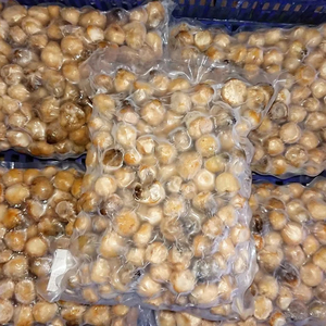 Champignons en Paille Surgelés IQF 100% Naturels - Product Image 1