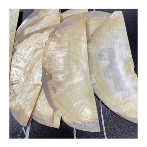Vietnam nacre coquille pièces nacre tranches de nacre pour mur Art décor bijoux incrustation artisanat et meubles conceptions - Product Image 5