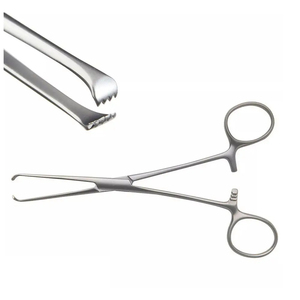 Pinces à tissus Allis médicales - Pinces Allis réutilisables en acier inoxydable avec dents - Pince à tissus pour chirurgie générale - Product Image 2