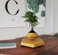 Jarrón de Mesa Flotante con Diseño de Piedra de Madera, Giratorio y Levitante, Desafía la Gravedad |   Maceta para Bonsái Art Deco Única y Preciosa