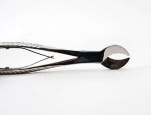 Haute qualité dentaire corne de vache plâtre pince laboratoire médical Instruments chirurgicaux en acier inoxydable - Product Image 4