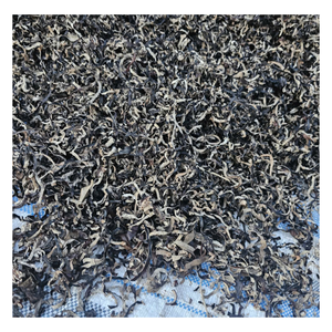 Auténtica madera seca oreja seta nube estilo chino madera seca oreja seta nube exportación a granel sabor Natural - Product Image 1