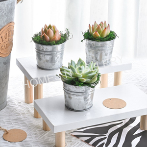 Jardinières modernes simples de luxe plaquées argent avec poignée Jardinière de jardin décorative de première qualité - Product Image 6