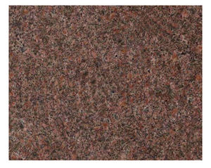 Pierre naturelle de granit indien Aurora de qualité supérieure pour les maisons, les hôtels, les bureaux et les projets de construction commerciale - Product Image 6