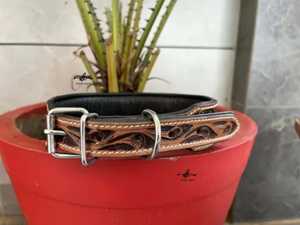 Collier de chien en cuir rembourré souple de haute qualité sculpté à la main pour le style et le confort - Product Image 2